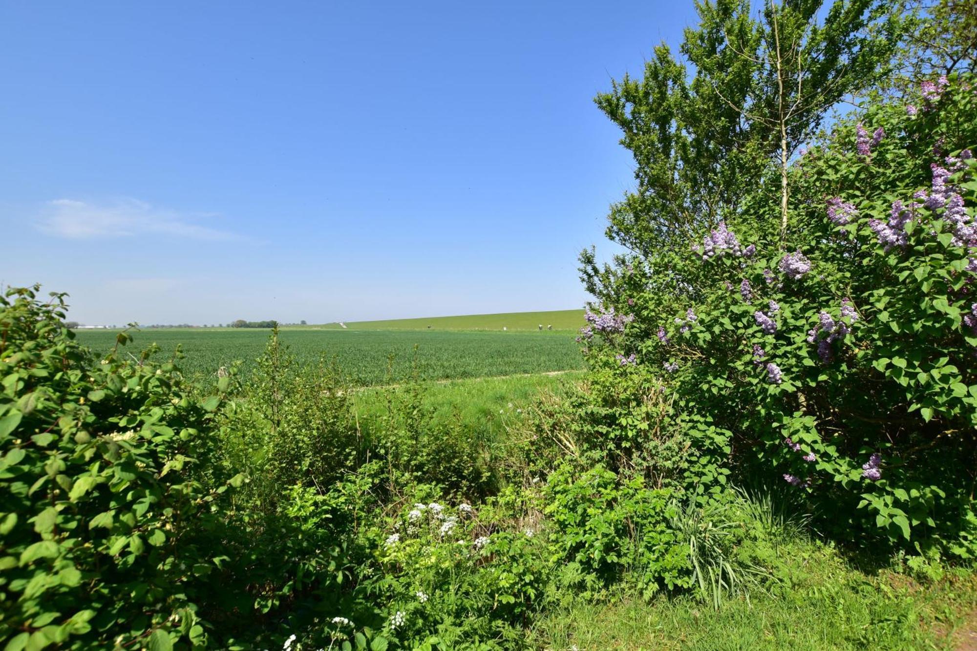 Haus Kuestersmatt Am Deich - Minsen Exteriér fotografie